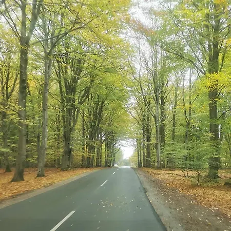 Luxury Pool Retreat In Henne - By Traum Feriehus Henne Strand